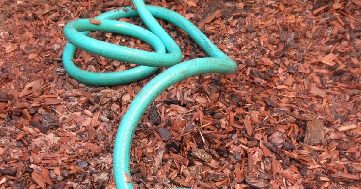 kinked hose Oh look. Another blog.