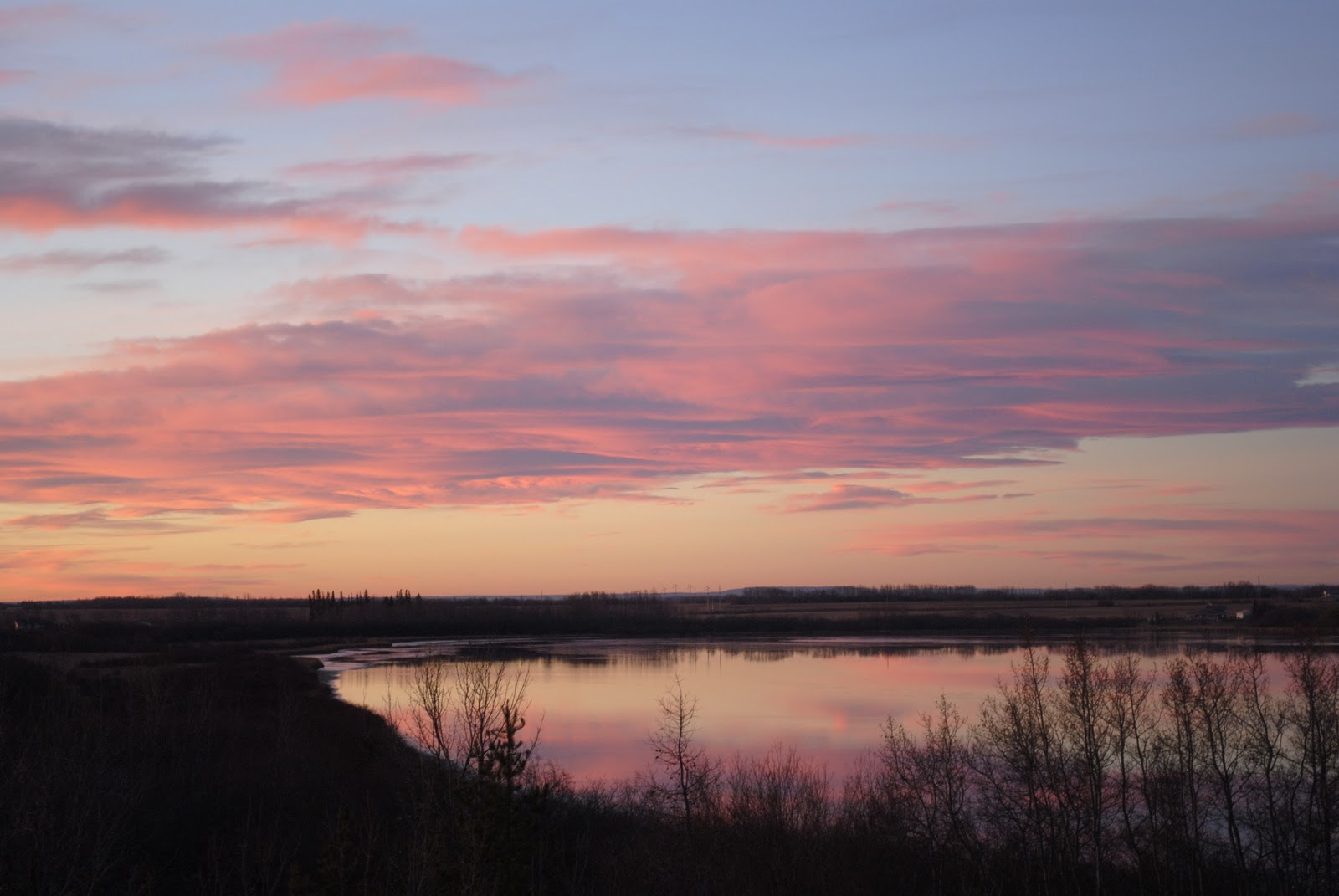 The Hudson River Birder THE "HUDSON RIVER BIRDER"......FROM GRAND