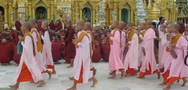 [Buddhist_monks_211824a.jpg]