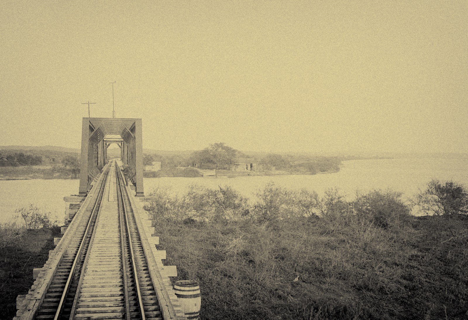 Pin by Lindsay Betz on Public Domain Greys anatomy