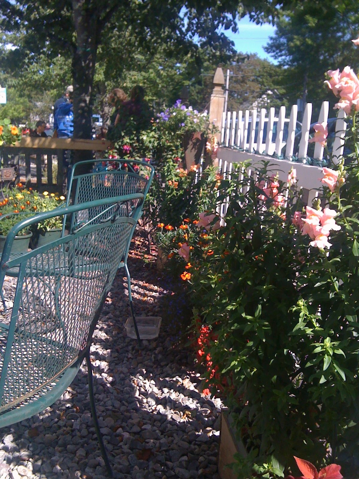 [Cafe+2+patio.JPG]