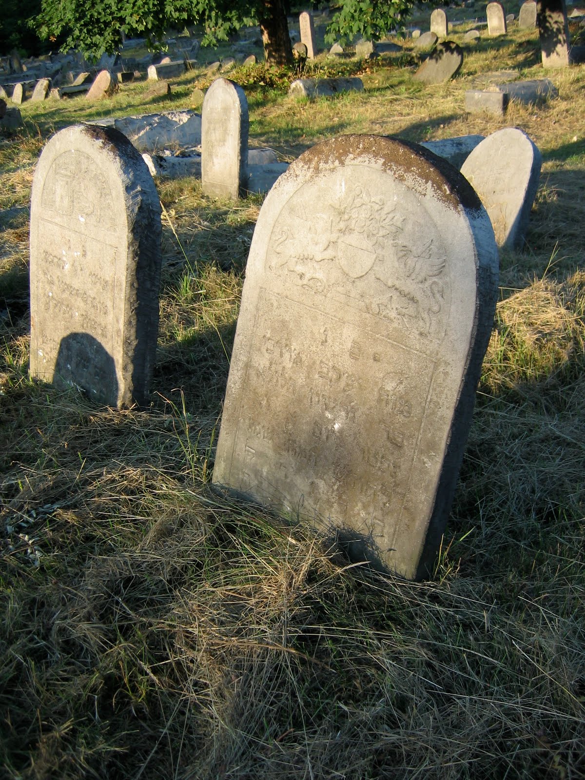 [IMG_2402.JPG]