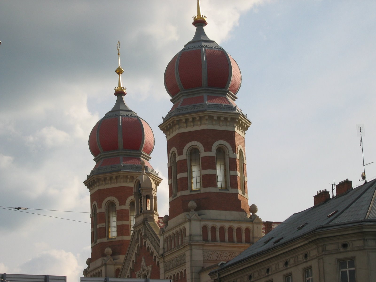 [IMG_3978.JPG]