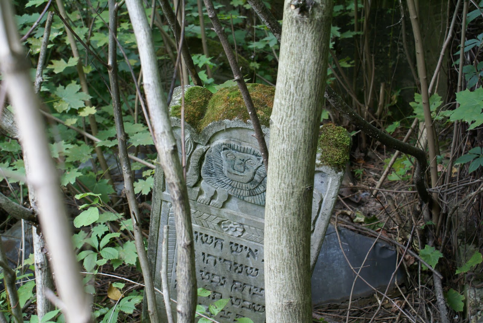 [DSC05685.JPG]
