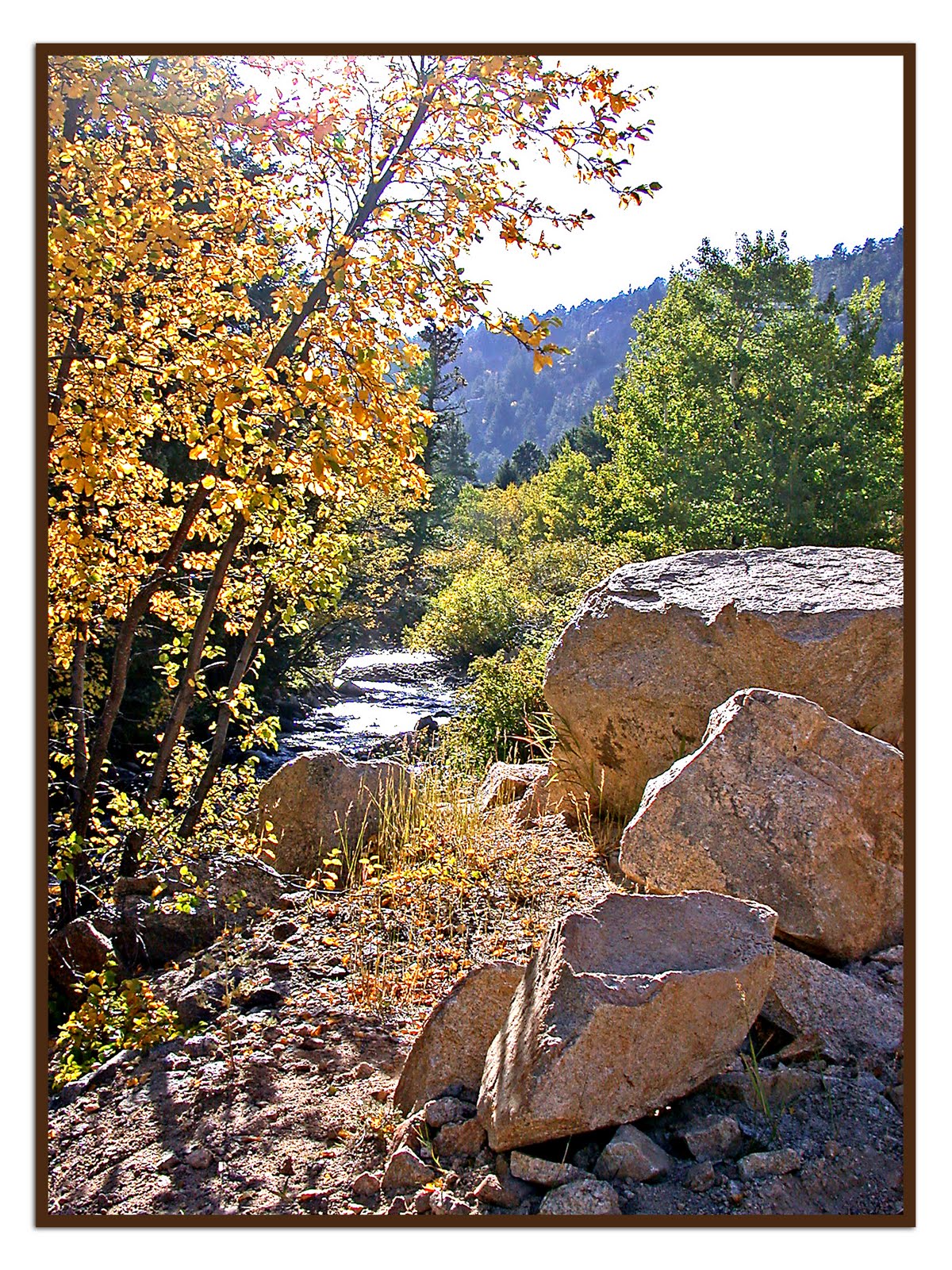 [Apen+Stream+copy+frame.jpg]