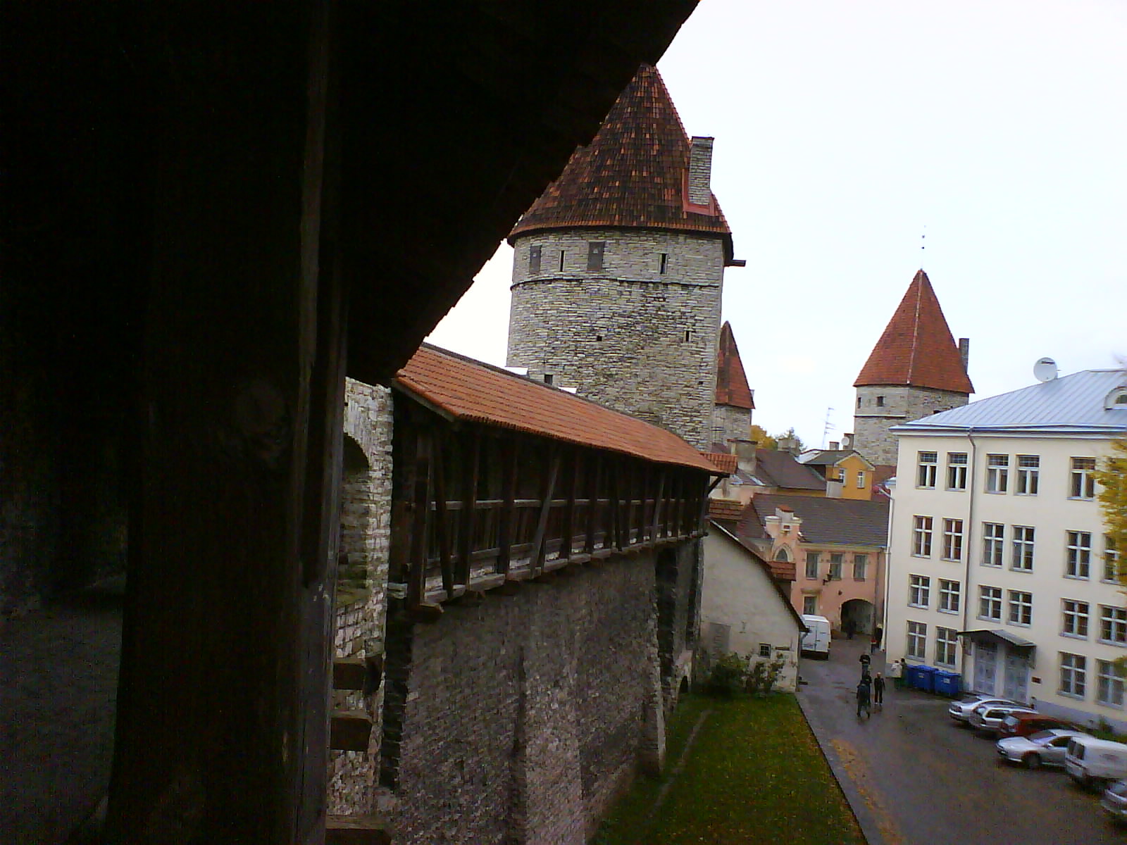 [DSC02381.JPG]