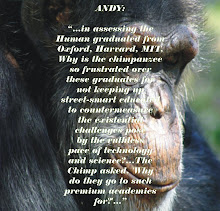 A concerned chimp indeed!
