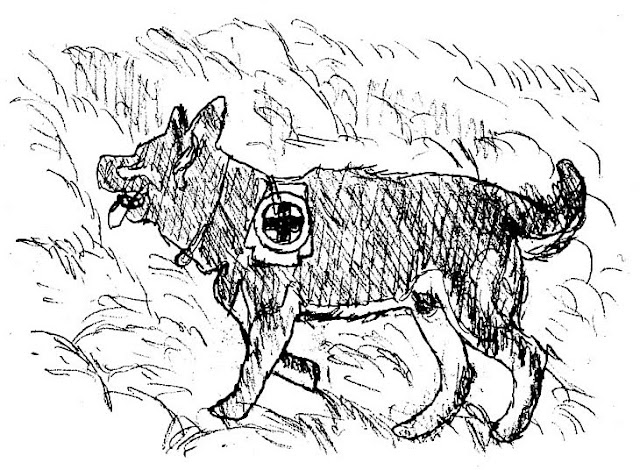 Pascal Kirchmair Lawinenhund