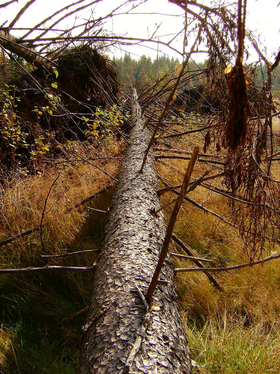 [digitalkamera+283.jpg]