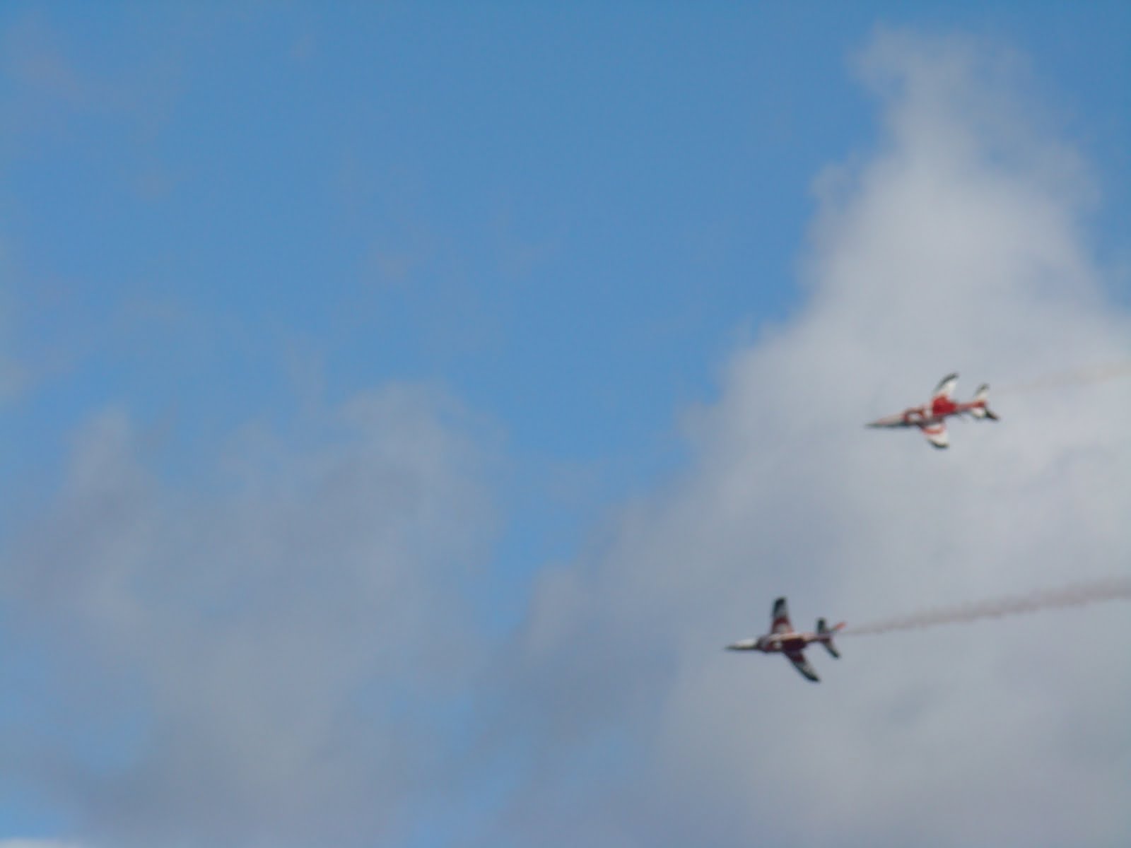 [DSC04973.JPG]