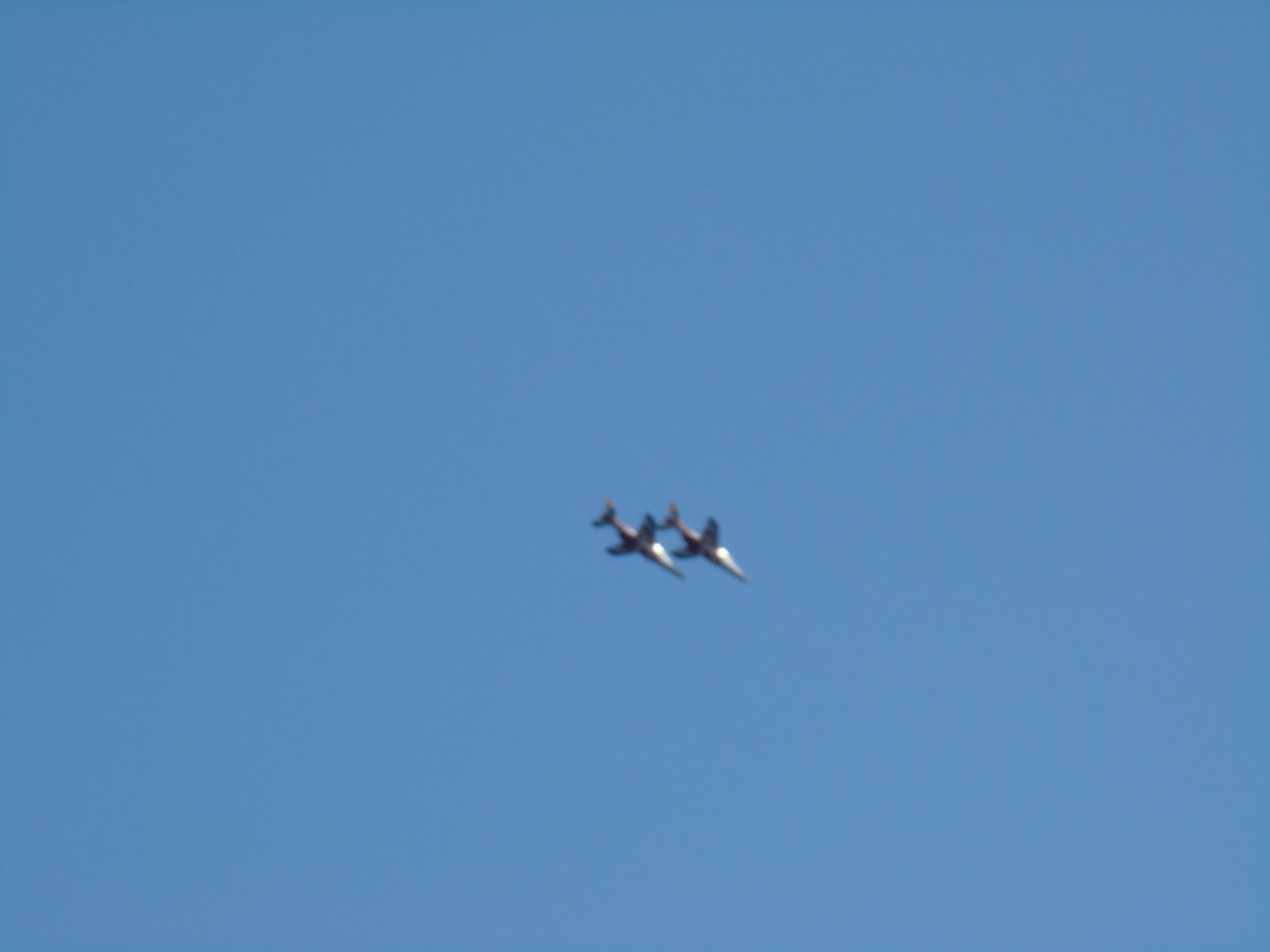 [DSC04946.JPG]