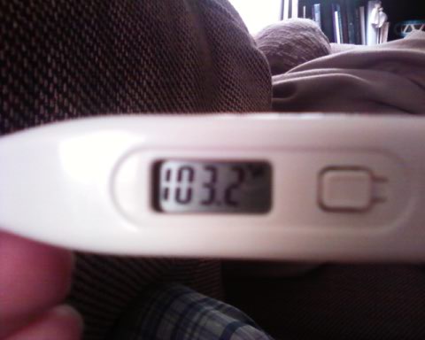[Dylan+-+temp+12.31.09]