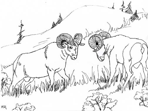 Kids Coloring Pages - Animals Color Pictures | Kids Online World Blog