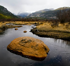 Rocky Mountain National Park: a National Treasure