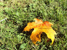 Fall\