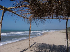 Playa Palomino