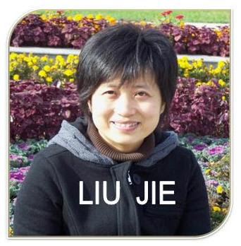 Liu Jie