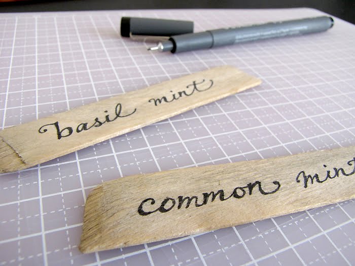 Camellia Rose How to make rustic plant labels