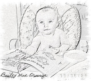 Bailey Coloring Pages