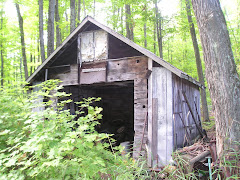 Old Garage in woods