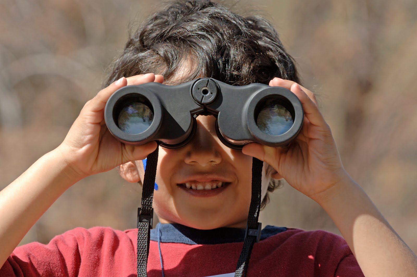 The Wildlife Viewing Network