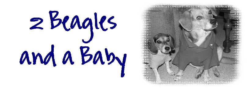 Two Beagles and a Baby