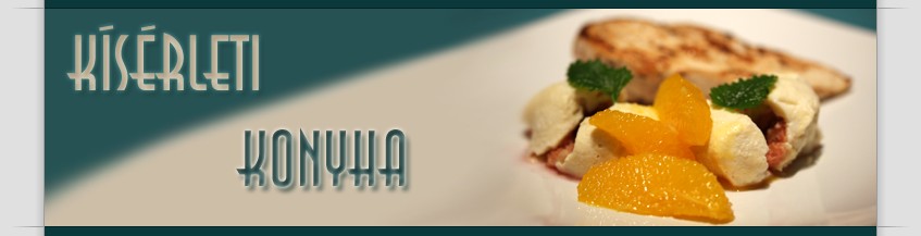kísérleti konyha