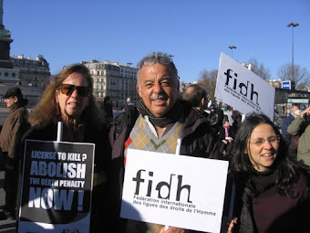 Francia 2007, FIDH