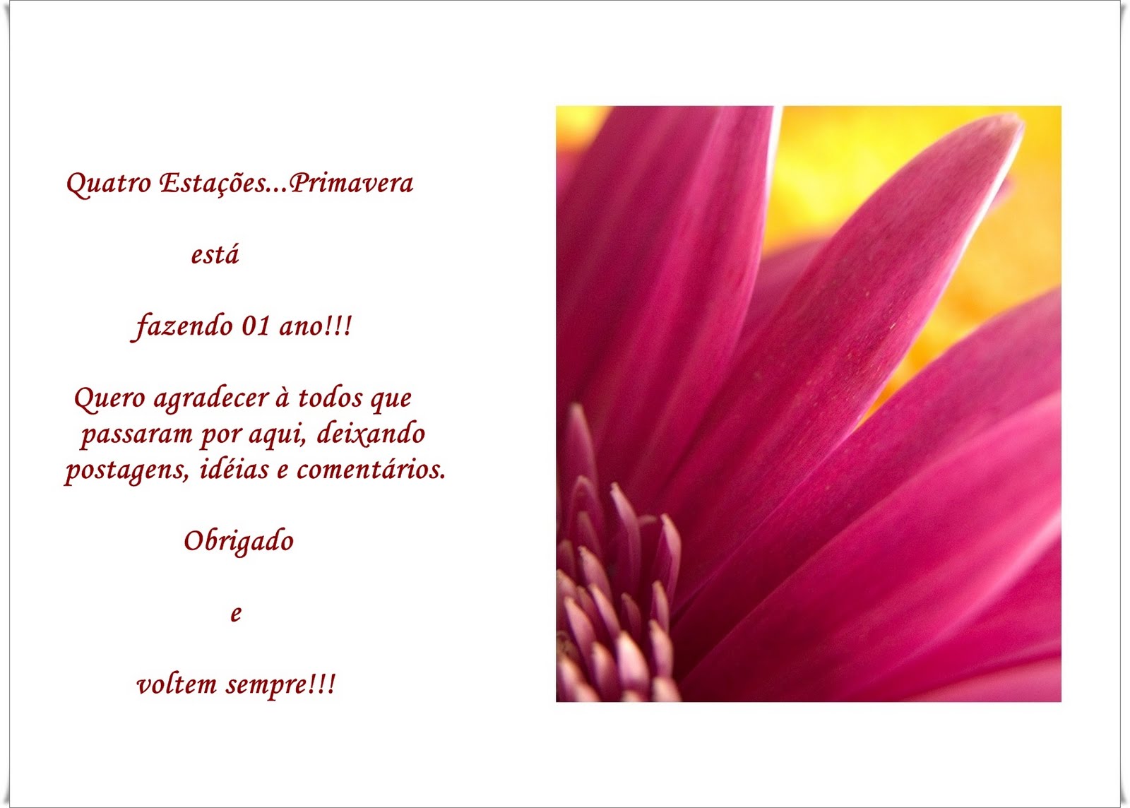 [niver.jpg]