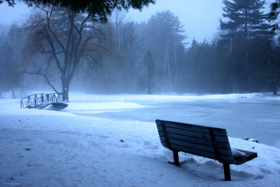 blue morning