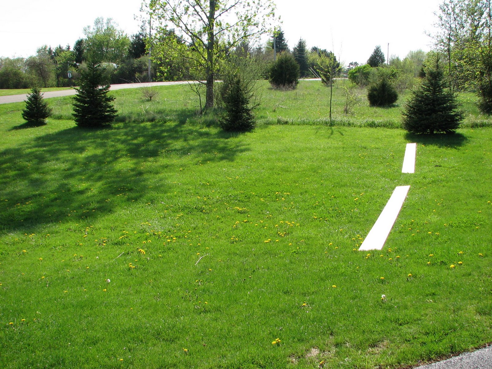 [recently_moved+077.JPG]