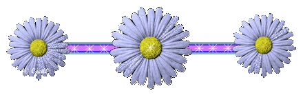 [BarraFloresCTV_31a.gif]