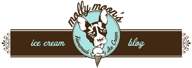 molly moon ice cream