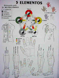 5 elementos ou 5 movimentos energeticos e meridianos