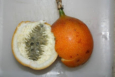 Granadilla