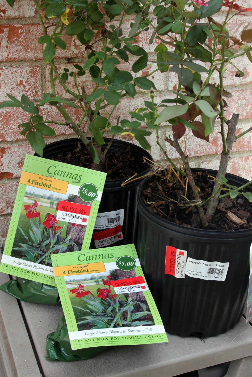 The Creamer Chronicles Gardening on the cheap!