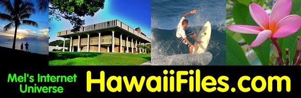 Mel's Internet Universe | The Hawaii Files