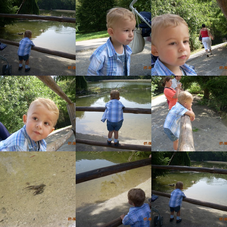 [collage2.jpg]