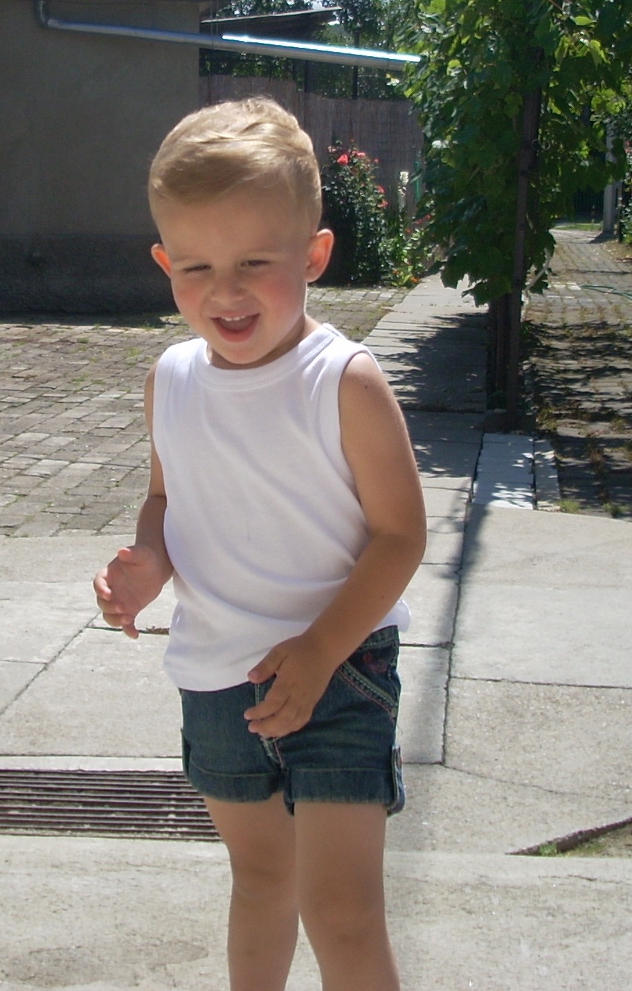 [Picture+079-v-4.jpg]