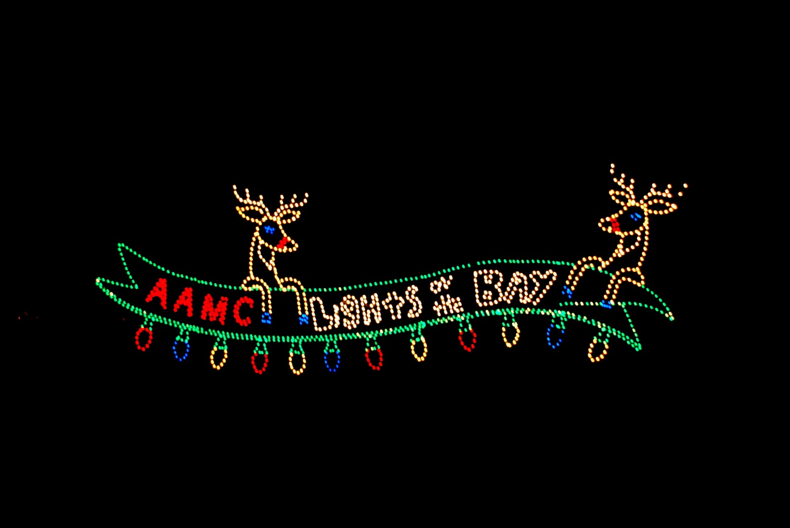 Adventures in Aperture Lights on the Bay Christmas at Sandy Point