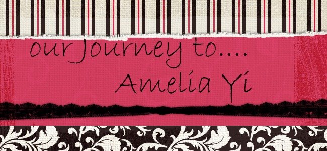 Our Journey to Amelia Yi