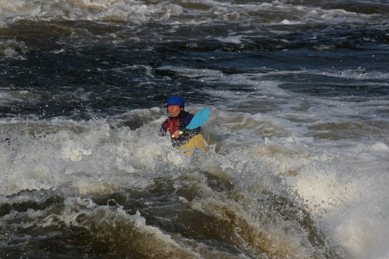 [IMG_3178.JPG]