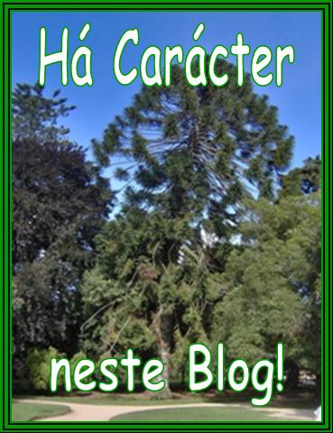 [Caracter_Blog.jpg]