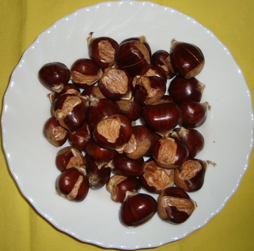 [castanhas_2.JPG]
