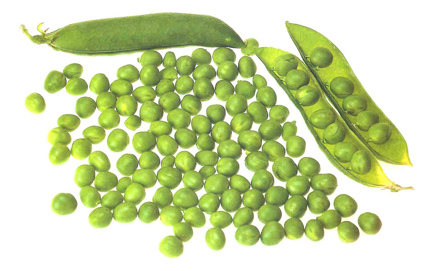 Eduquemos con amor: IMAGENES DE VERDURAS