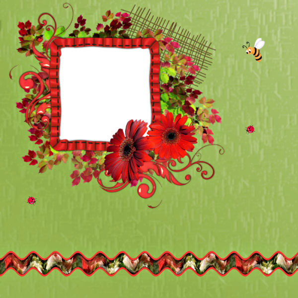 [sax_QP_gerbera.jpg]