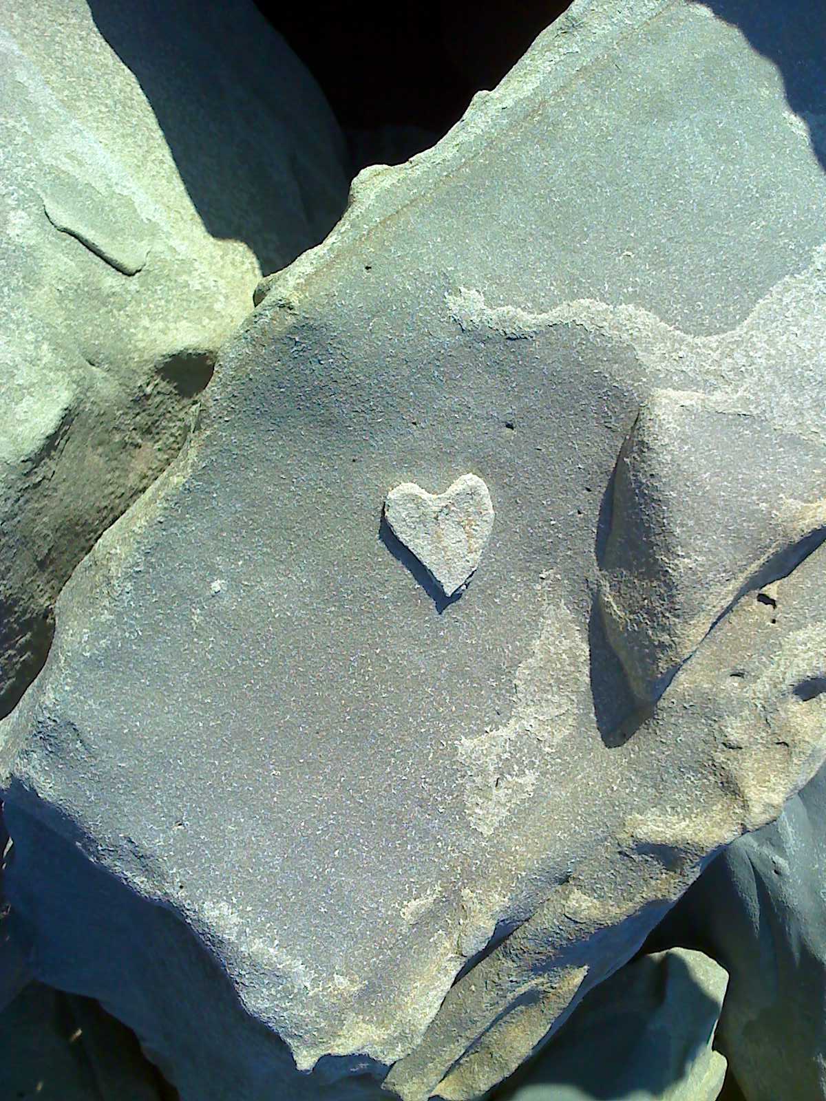 [010410mondosheart.jpg]
