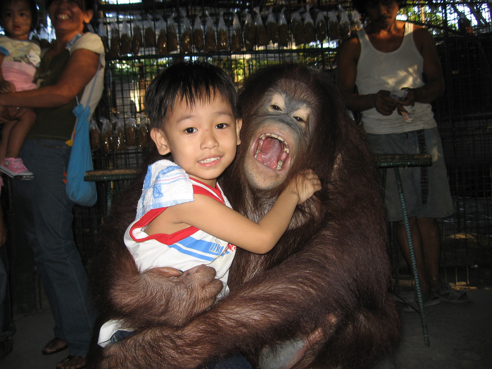 Malabon Zoo; a collection of endemic Philippine animals