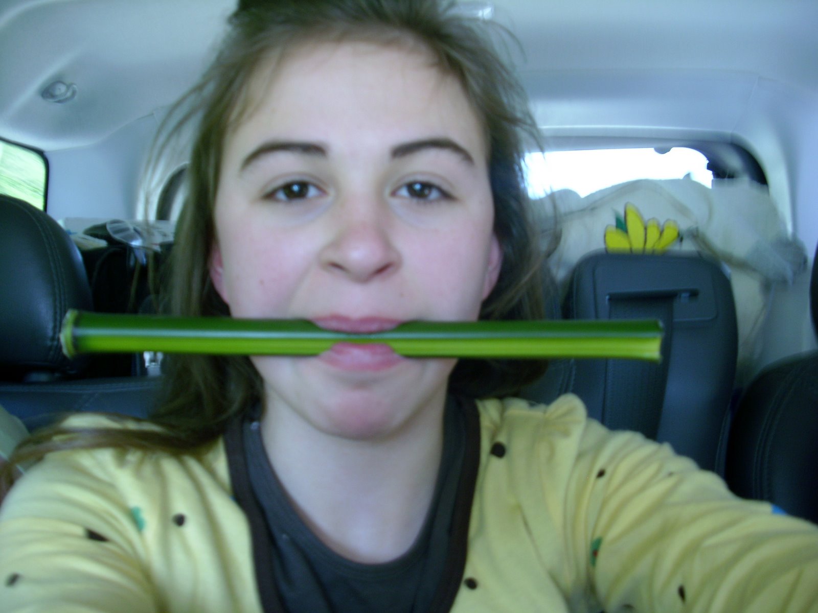 [Alison+and+her+bamboo...again.JPG]