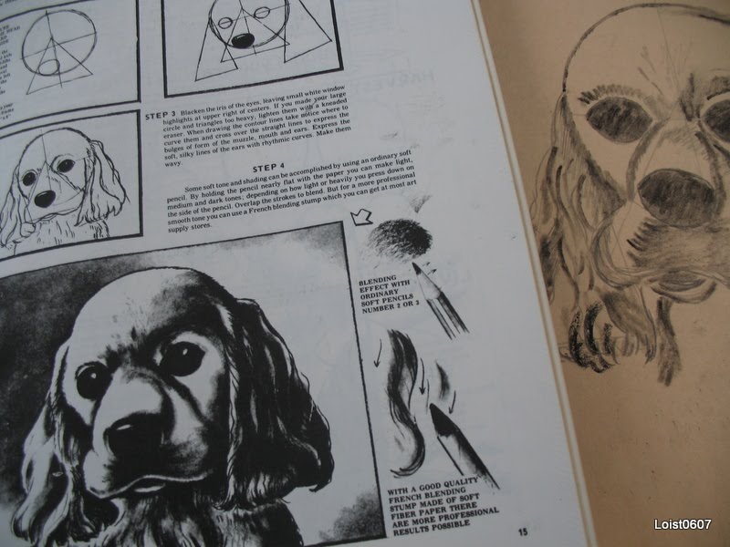 Birds, Flowers and Crafts of Jon Gnagy, Elizabeth MacCrellish and Squam...